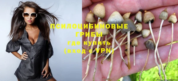 mdma Каменногорск